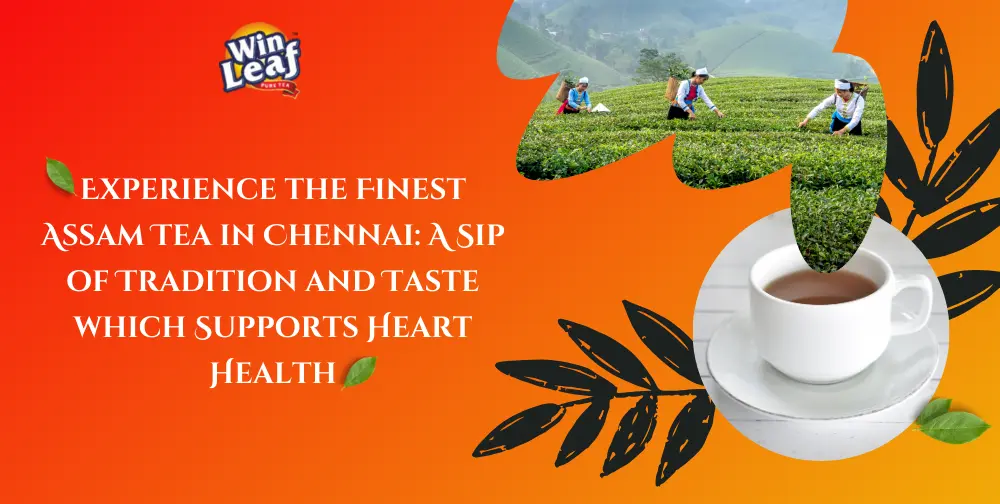 a-sip-of-tradition-winleaf-tea