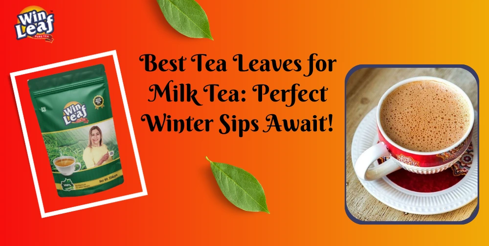 best-tea-for-winter-winleaf-tea