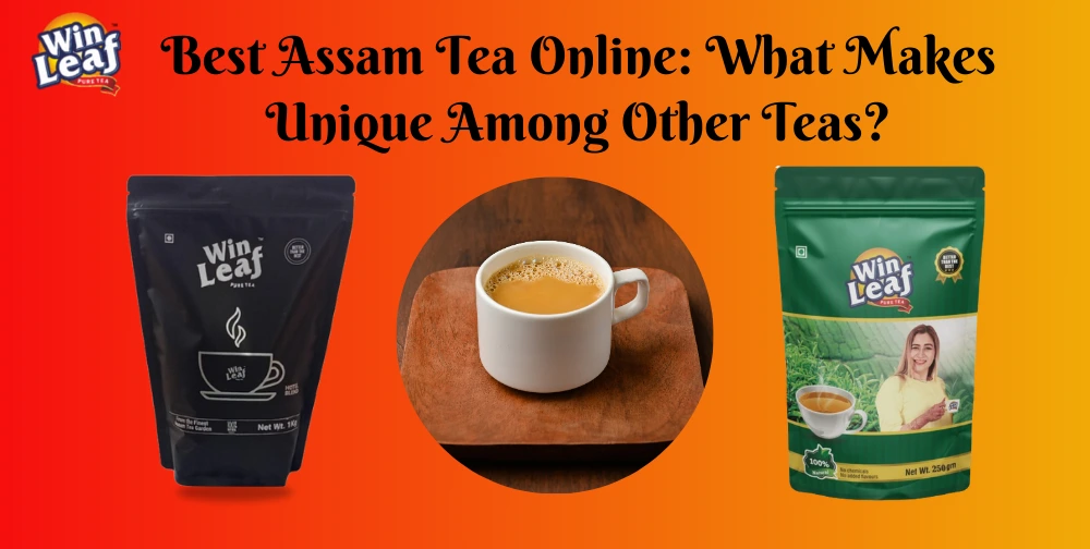 best-assam-tea-online-bold-flavor-rich-aroma